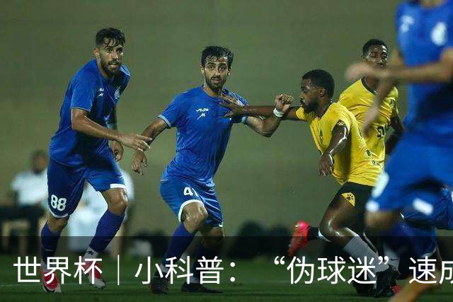 世界杯｜小科普：“伪球迷”速成手册